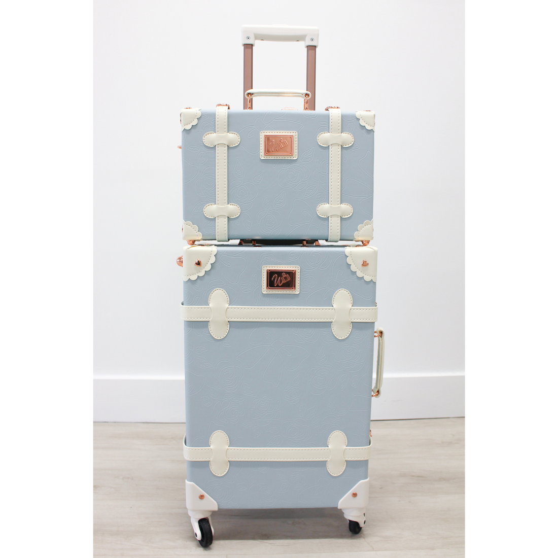 Blue vintage carry-on and train case from The Audrey Collection with telescopic handles
